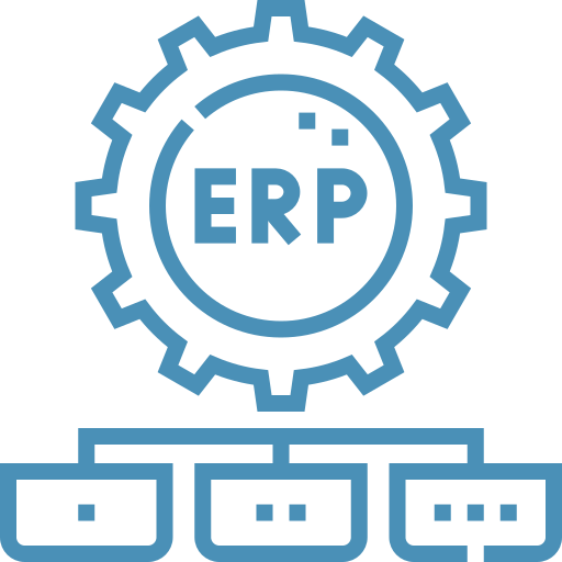 ERP Development