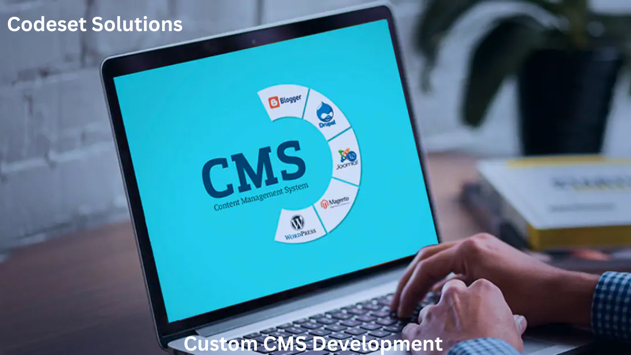 Custom CMS Development