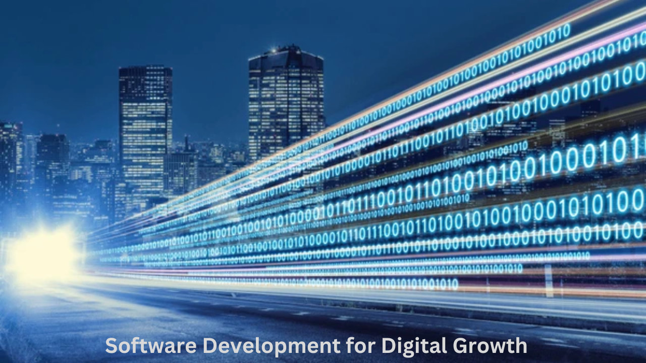 Software Development for Digital Growth